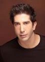 davidschwimmer